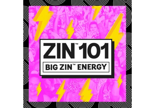 ZUMBA 101 ZIN 101 VIDEO+MUSIC